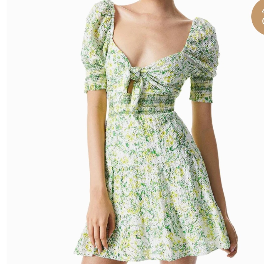 Alice and Olivia dress